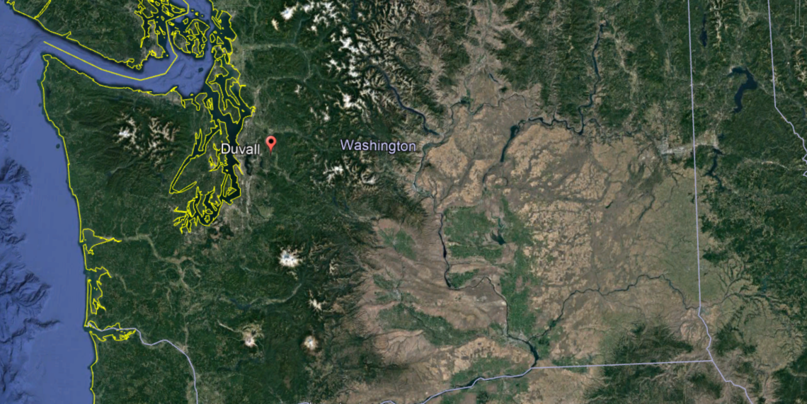 satellite view of duvall wa