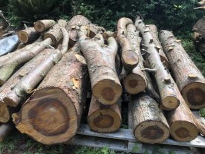 stacked cedar logs
