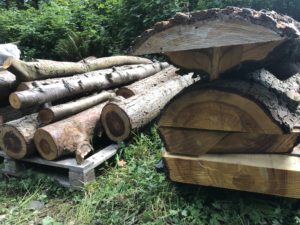 stacked milled wood and logs