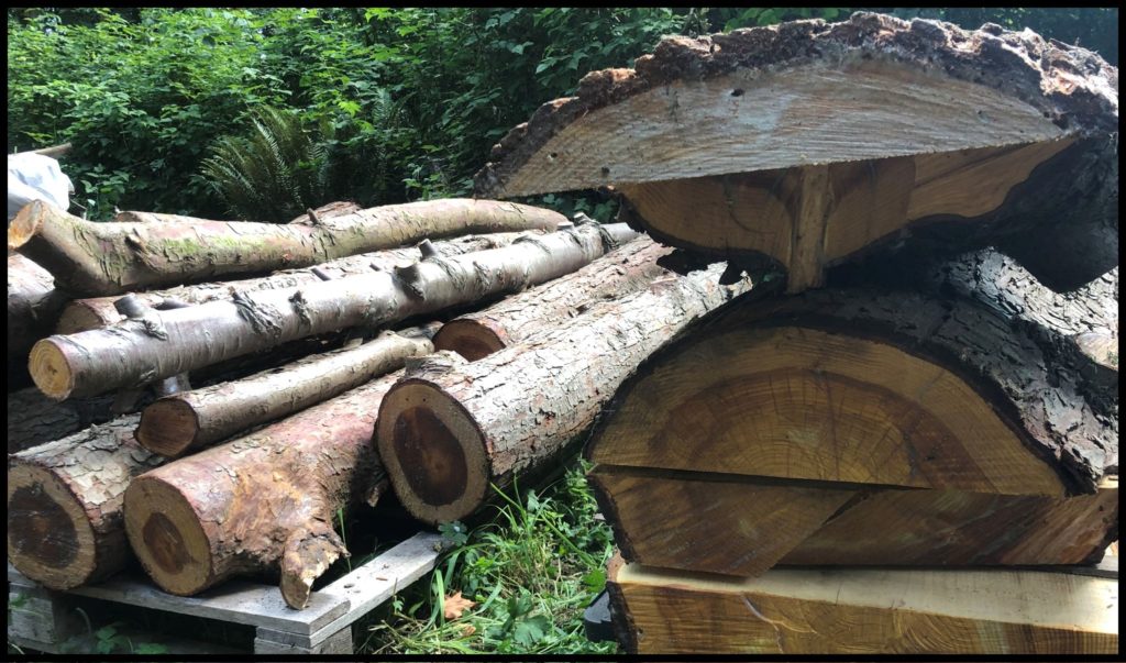 stacks of logs and milled cedar