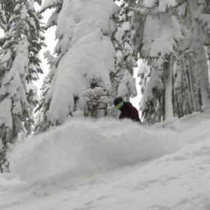 snowboarder in trees
