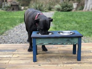 custom dog bowl tables